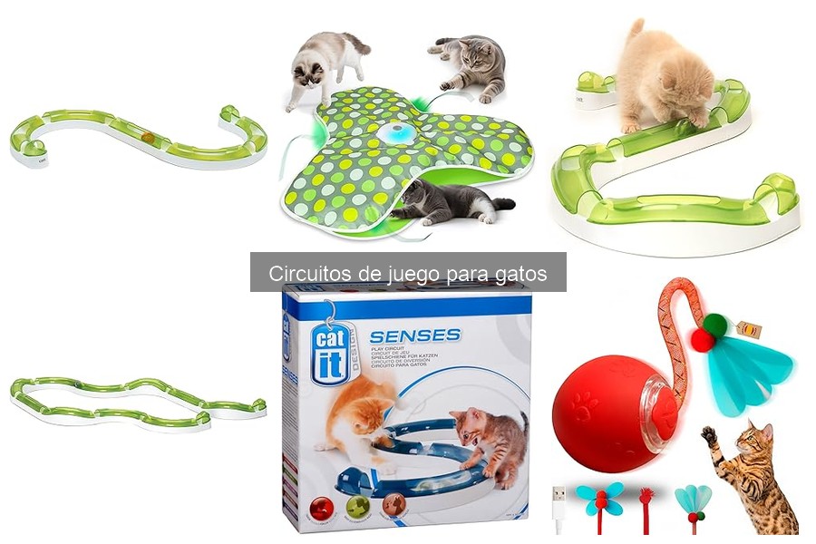 Beneficios de los circuitos de juego para gatos