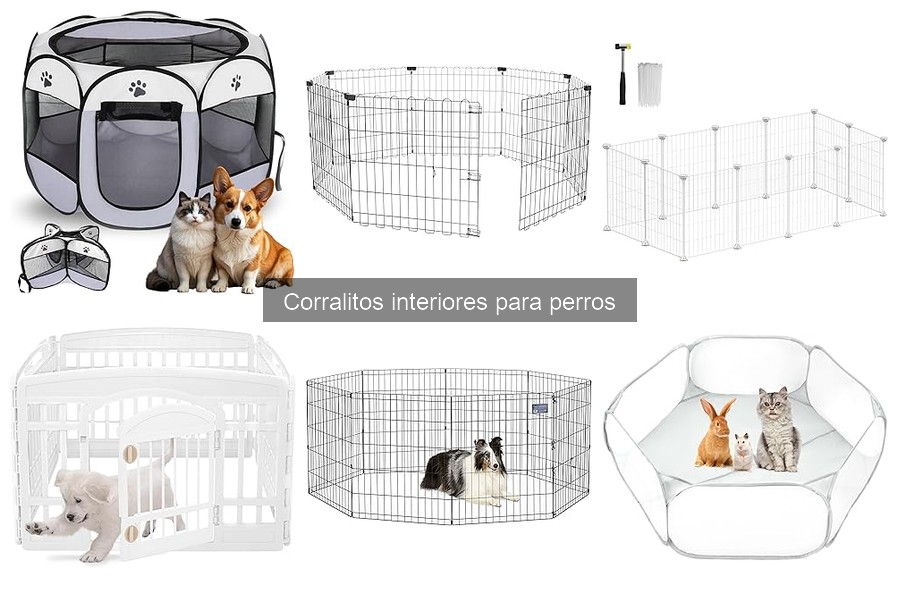 Beneficios de los corralitos interiores para perros