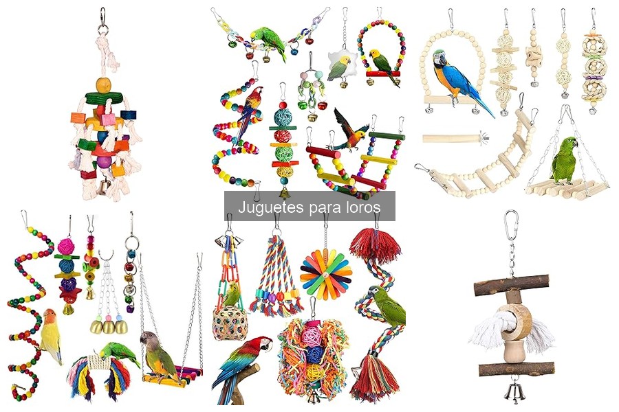 Beneficios de los Juguetes de Madera para Loros