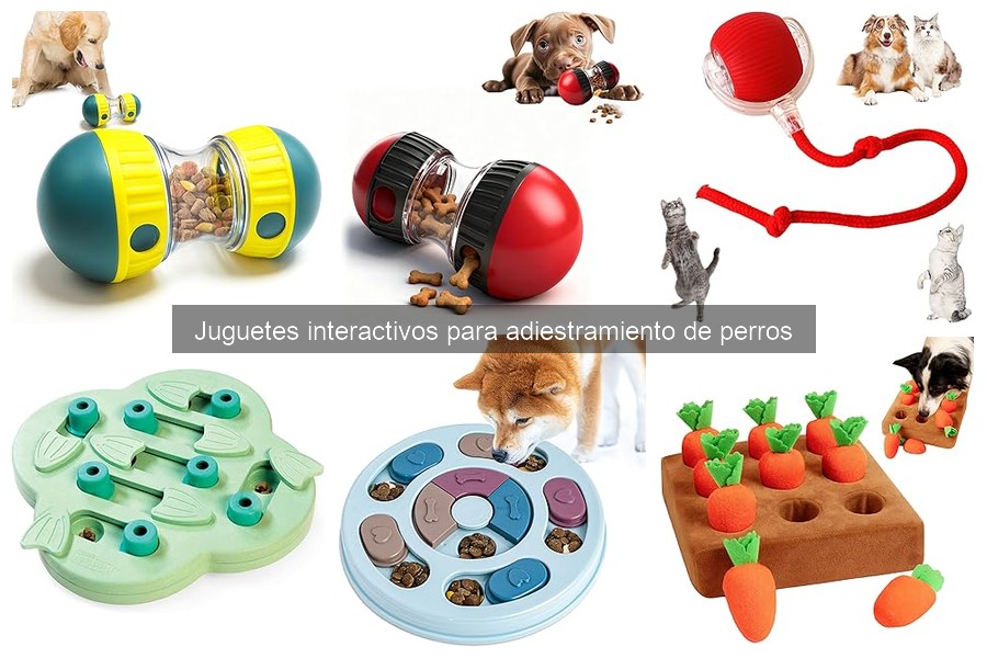 Beneficios de los juguetes interactivos en el adiestramiento de perros