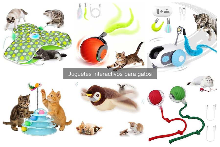 Beneficios de los juguetes interactivos para gatos