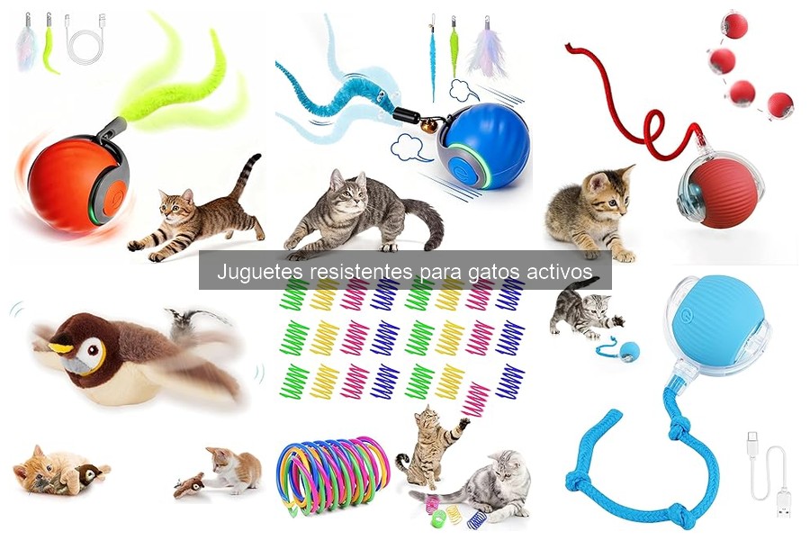 Beneficios de los juguetes resistentes para la salud de gatos