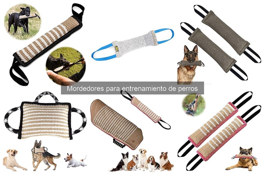 Beneficios de los mordedores en el entrenamiento de perros