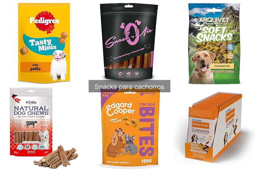 Beneficios de los Snacks para Cachorros que Debes Conocer