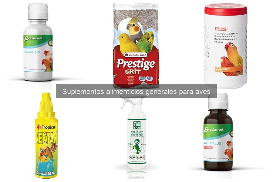 Beneficios de los Suplementos Alimenticios para Aves