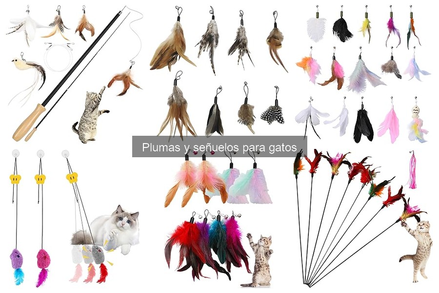 Beneficios de Plumas y Señuelos para Jugar con Gatos