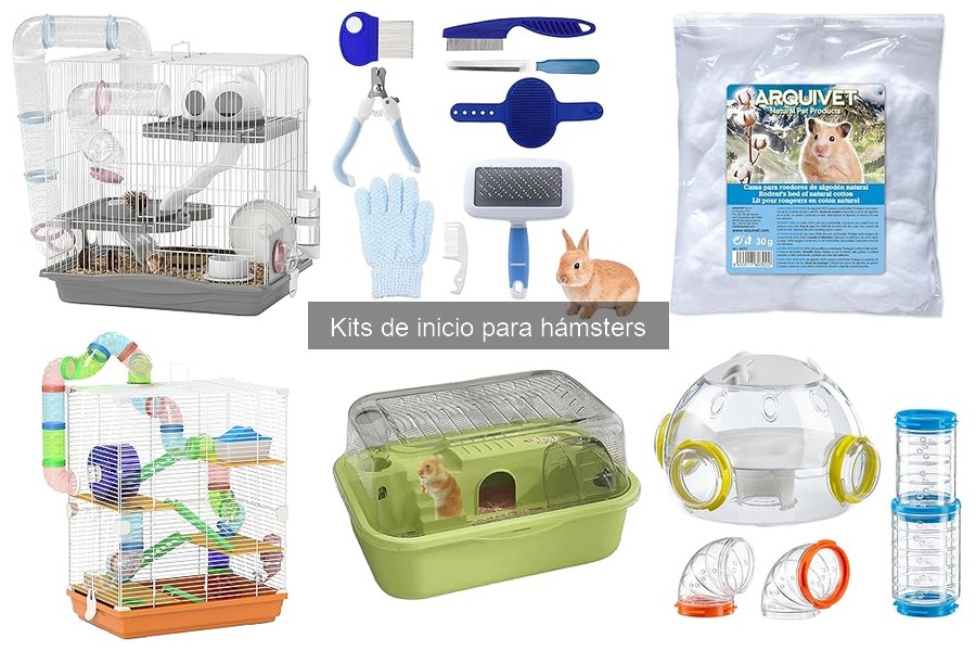 Beneficios de un kit de inicio para hámsters