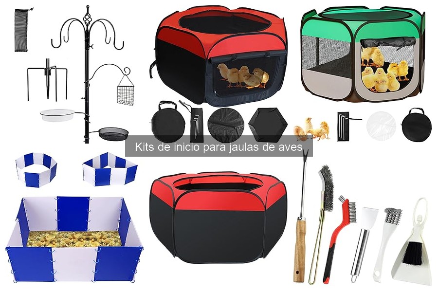 Beneficios de un Kit de Inicio para Jaulas de Aves