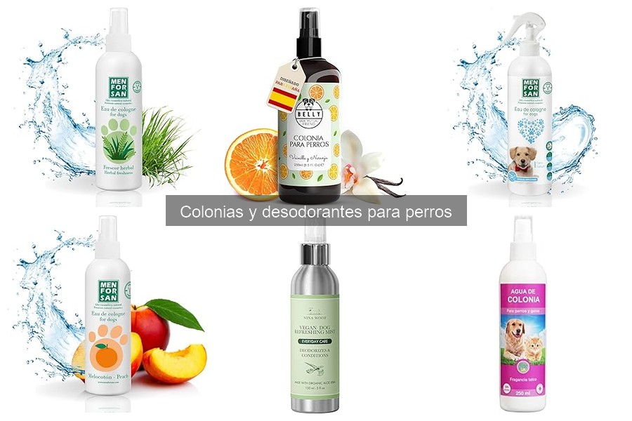 Beneficios de usar colonia para perros: frescura y más