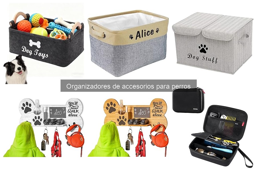 Beneficios de usar organizadores de accesorios para perros