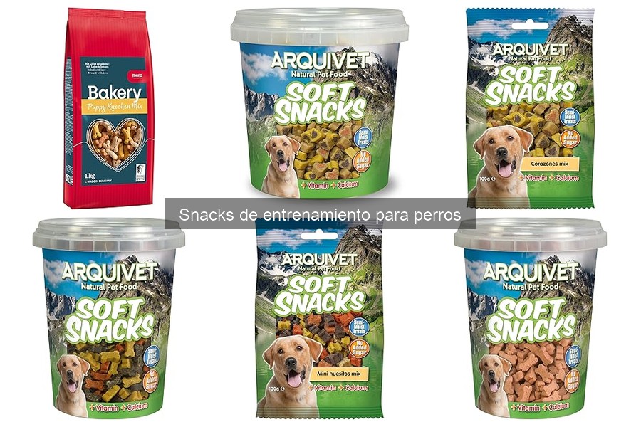 Beneficios de usar snacks de entrenamiento para perros