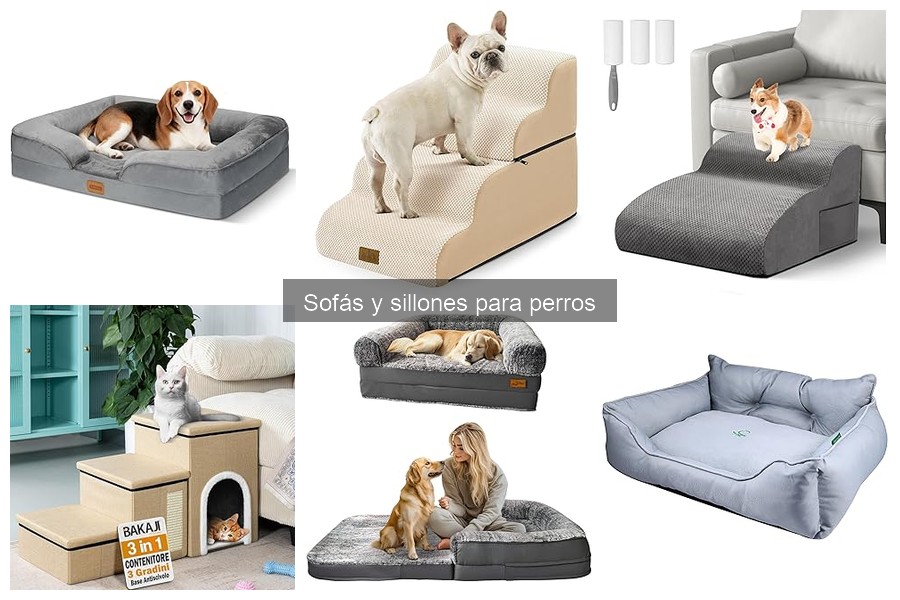 Beneficios de usar un sofá para perros en casa