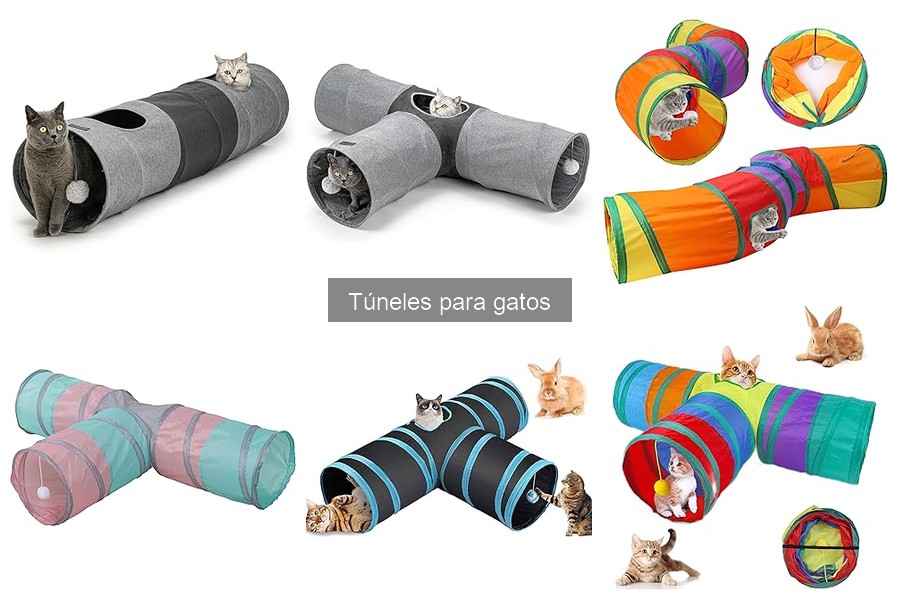 Beneficios de usar un túnel para gatos: ¡Descúbrelos!