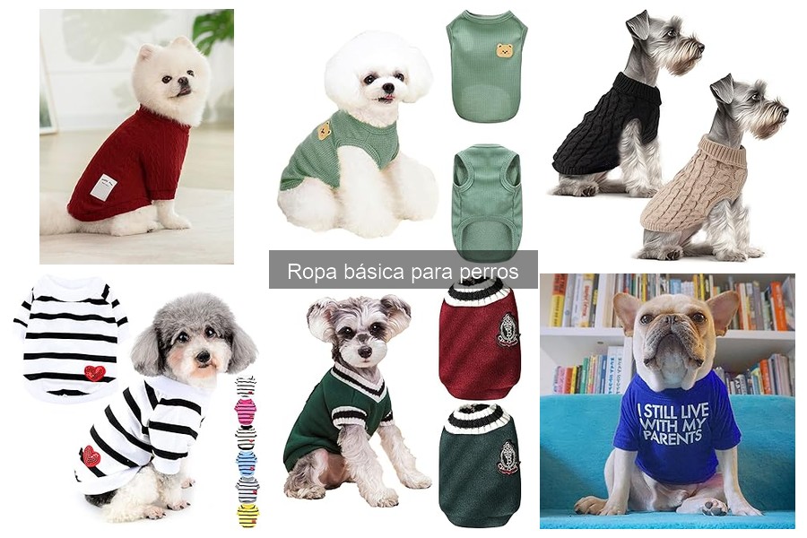 Beneficios de vestir a los perros con ropa básica