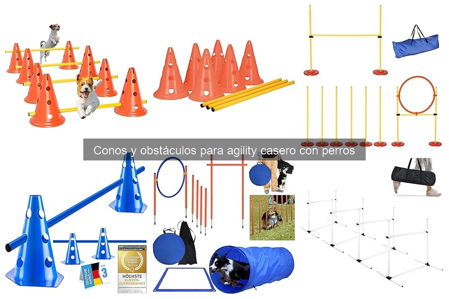 ** Beneficios del Agility en Casa con Conos y Obstáculos