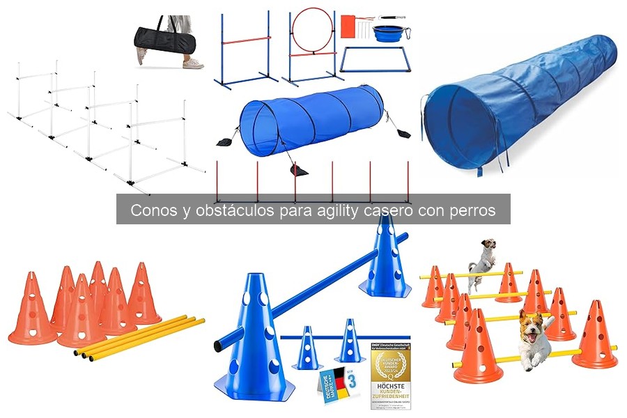 Beneficios del Agility: Mejora la Salud y Vínculo con tu Perro