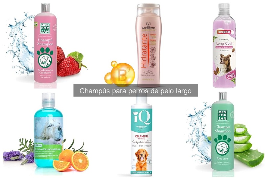 Beneficios del Champú para Perros de Pelo Largo