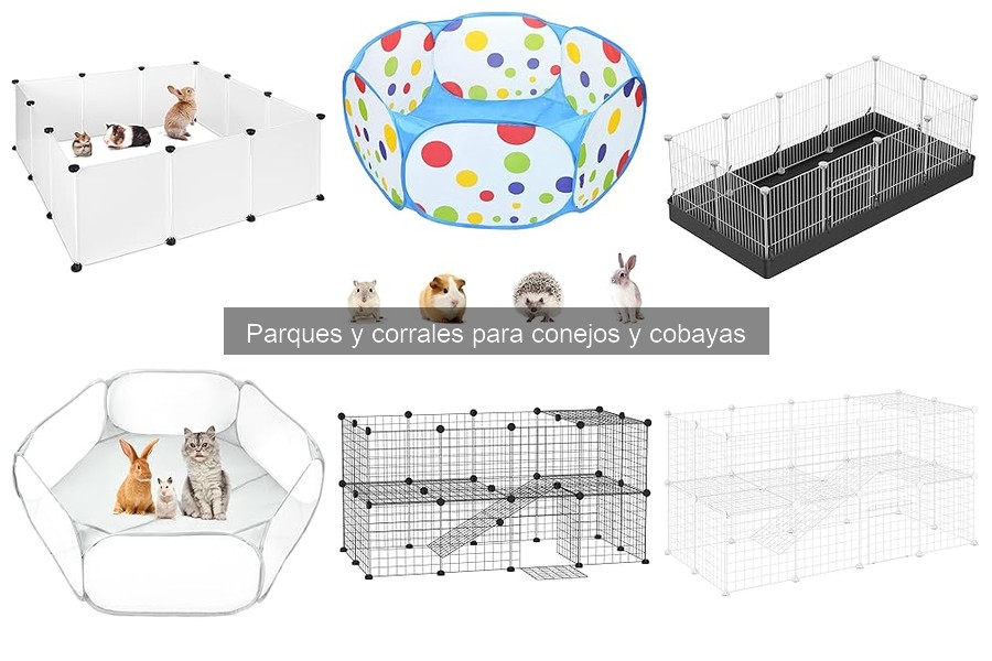 Beneficios del parque para conejos y cobayas | Mejora su vida