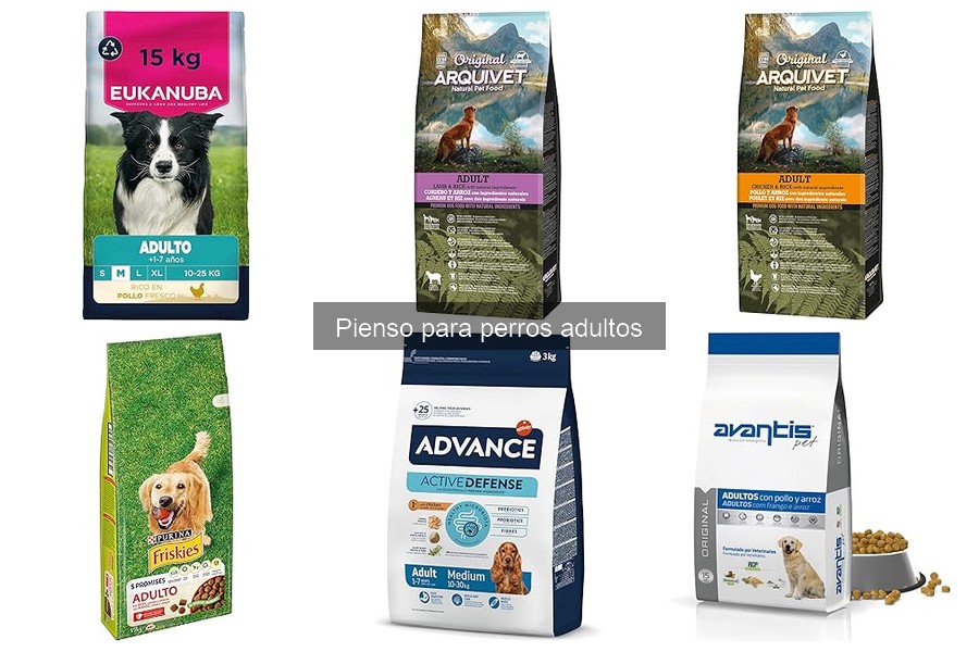 Beneficios del Pienso de Alta Calidad para Perros Adultos