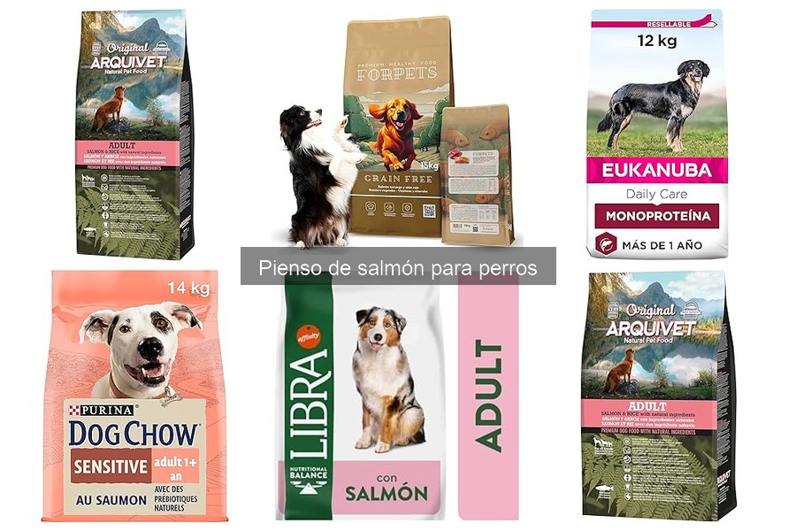 Beneficios del pienso de salmón para perros: ¡Descubre por qué elegirlo!