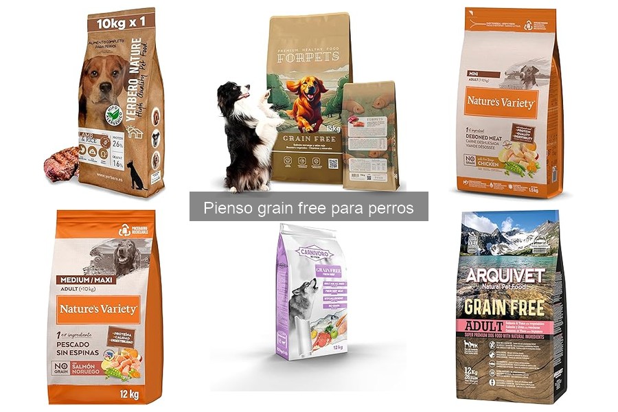 Beneficios del pienso grain free para perros: Salud y bienestar