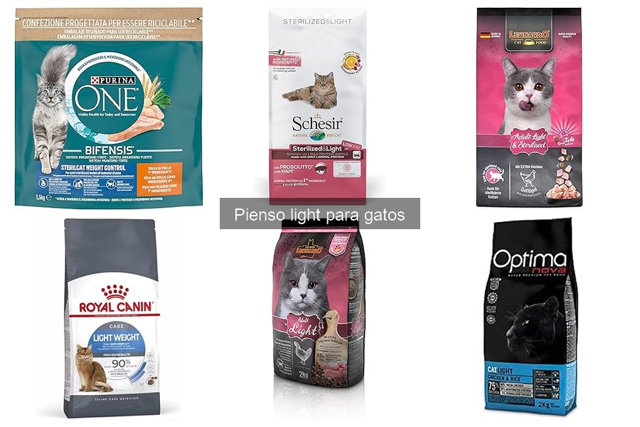 Beneficios del pienso light para gatos: salud y bienestar