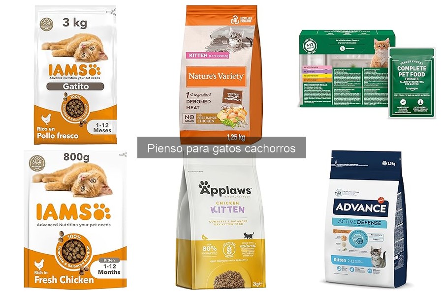 Beneficios del pienso para gatos cachorros: Crecimiento y salud