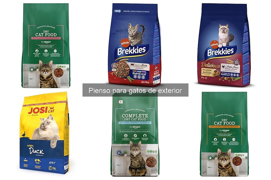Beneficios del pienso para gatos de exterior