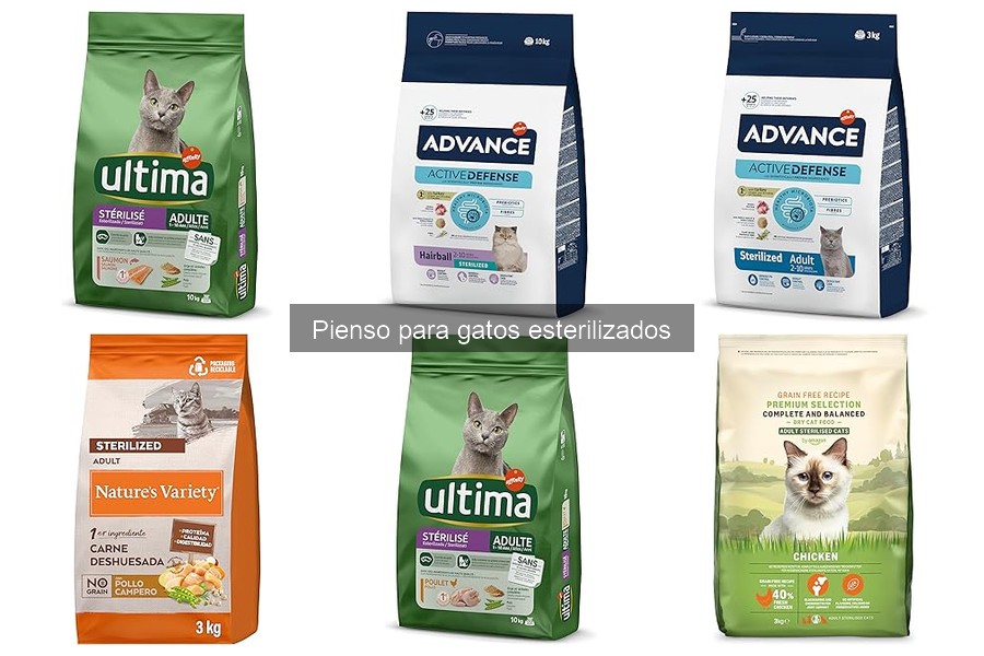 Beneficios del pienso para gatos esterilizados
