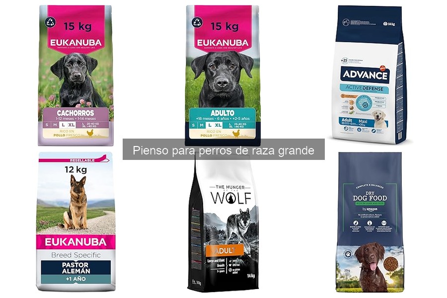 Beneficios del pienso para perros de raza grande
