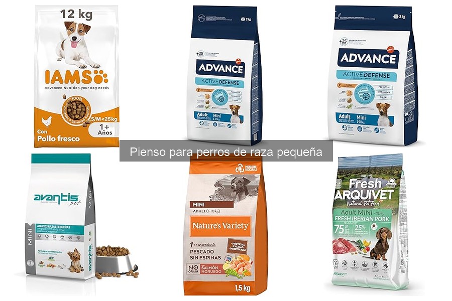 Beneficios del pienso para perros de raza pequeña