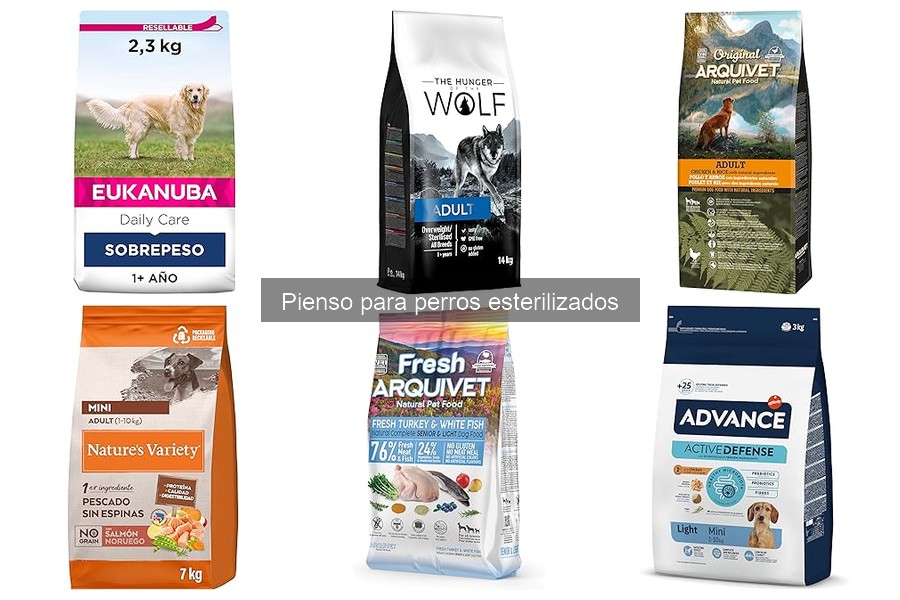 Beneficios del pienso para perros esterilizados: mejora su salud