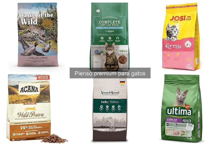 Beneficios del pienso premium para gatos: ¡mejora su salud!