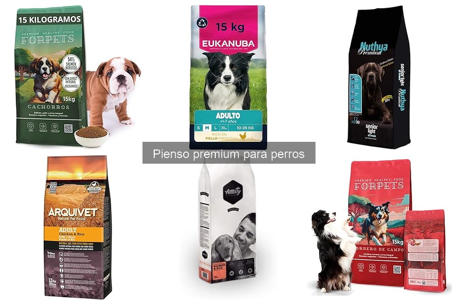 Calidad de Ingredientes en Pienso Premium para Perros