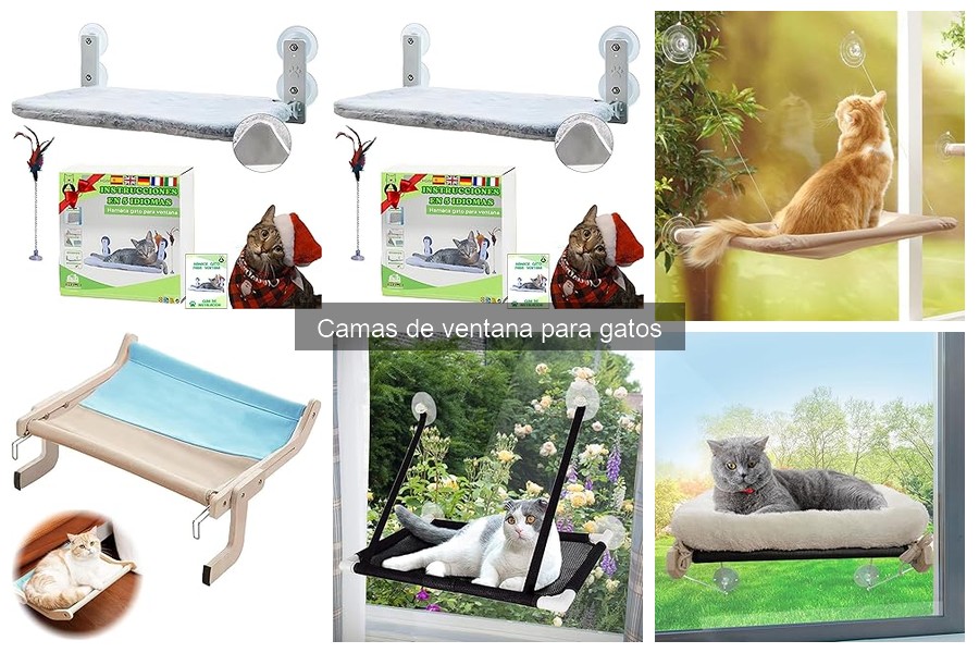 Camas de ventana para gatos: ¿Qué son y sus beneficios?