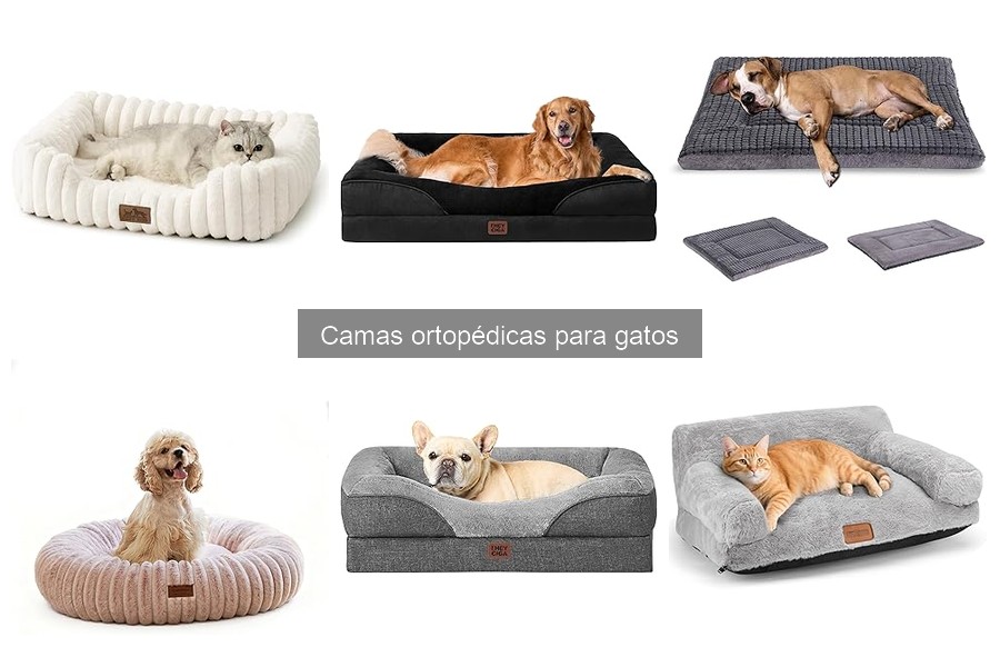 Camas ortopédicas para gatos: ¿Qué son y sus beneficios?