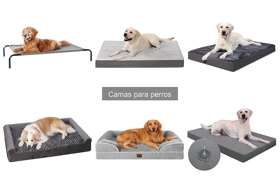 Camas para perros en oferta: mejores tiendas y precios
