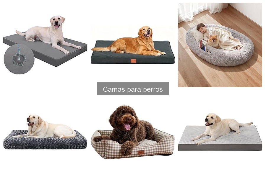 Camas para perros que mudan mucho pelo: las mejores opciones