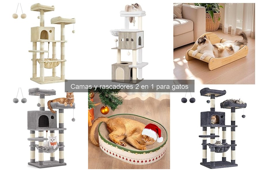 Camas y rasadores 2 en 1 para gatos: características y beneficios