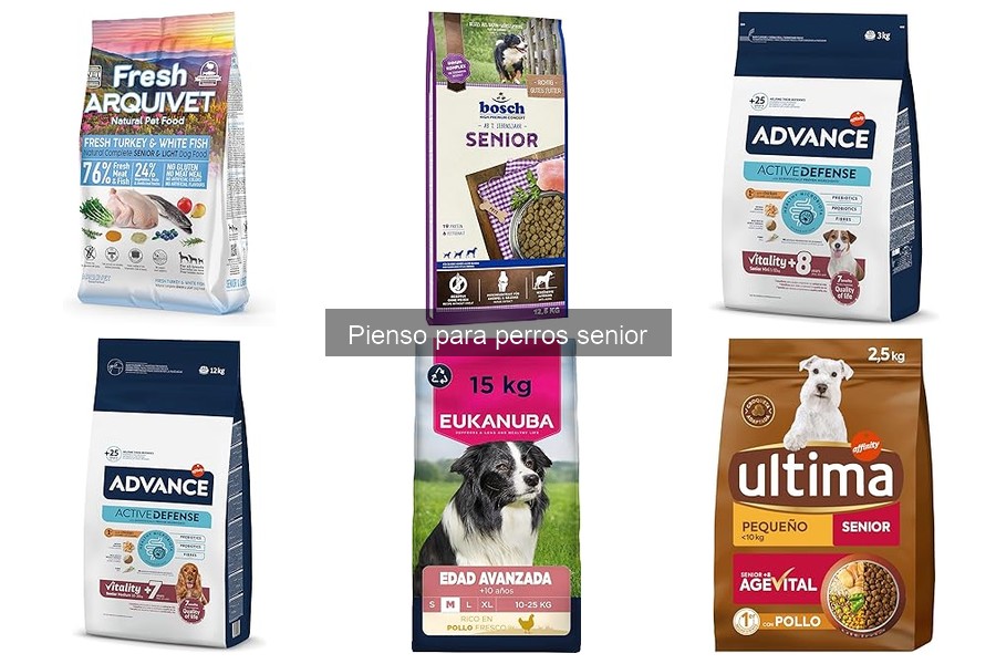 Cambios de Comportamiento en Perros Senior con Nueva Dieta