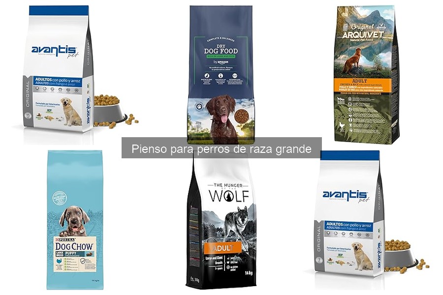 Cambios de Comportamiento por Mal Pienso en Perros Grandes