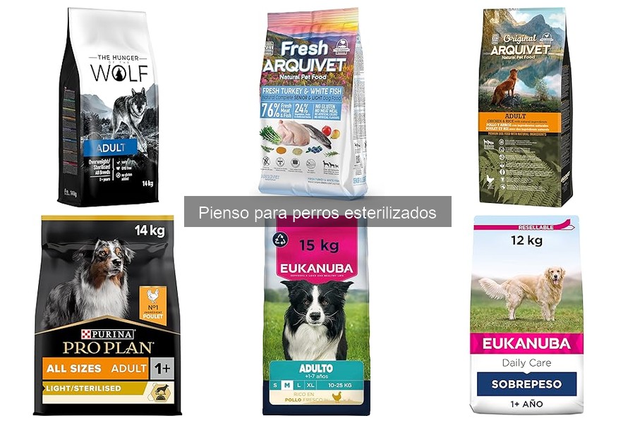 Cambios en la salud de perros al cambiar a pienso esterilizado