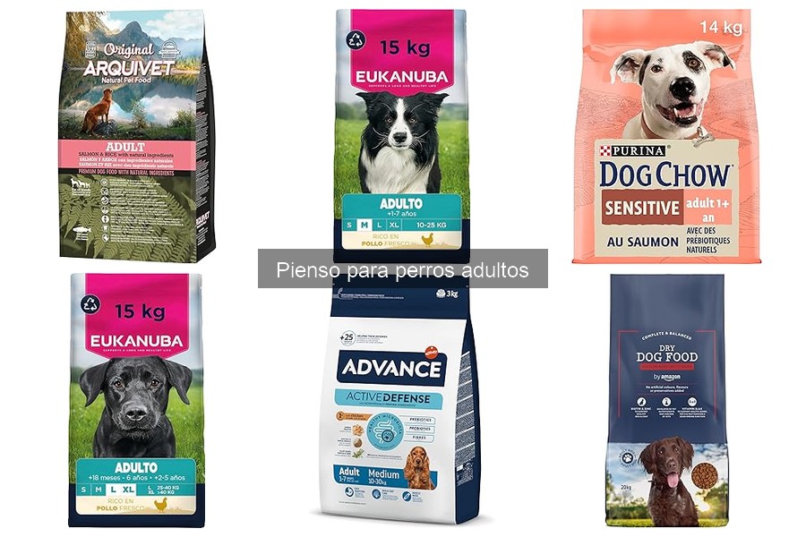 Cantidad Ideal de Pienso para Perros Adultos: Guía Práctica