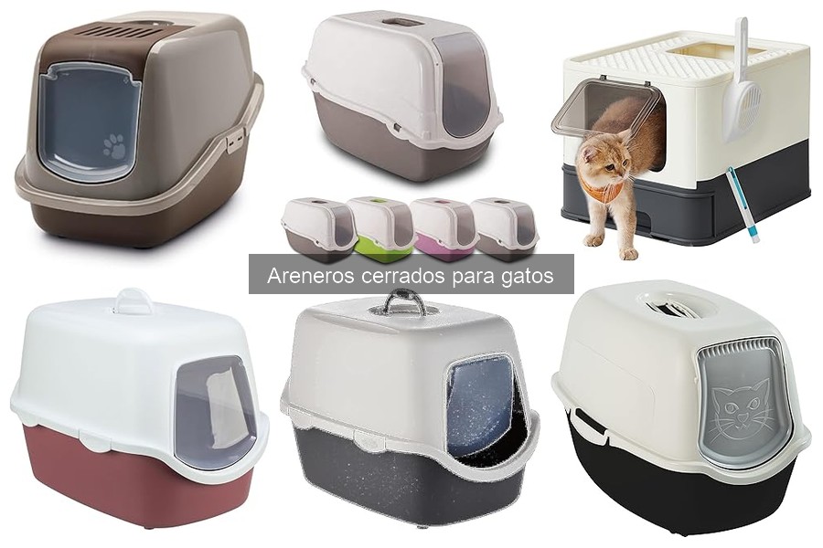 Características a evitar al comprar areneros cerrados para gatos