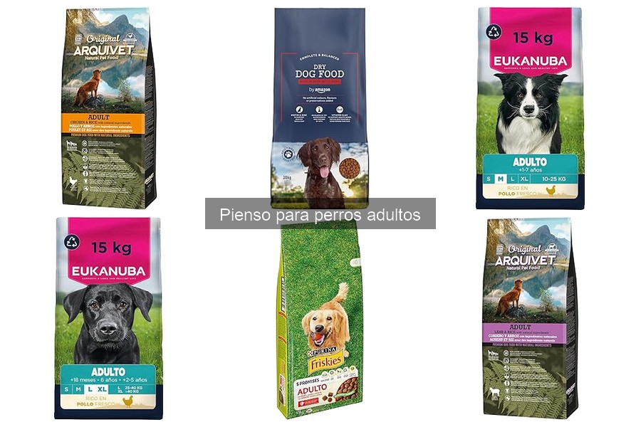Características del Mejor Pienso para Perros Adultos