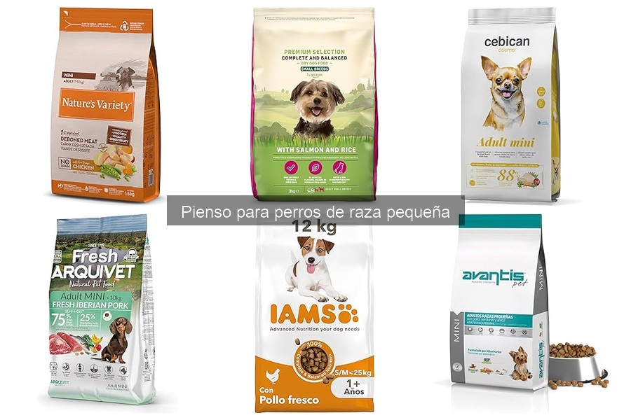 Características del Pienso para Perros de Raza Pequeña