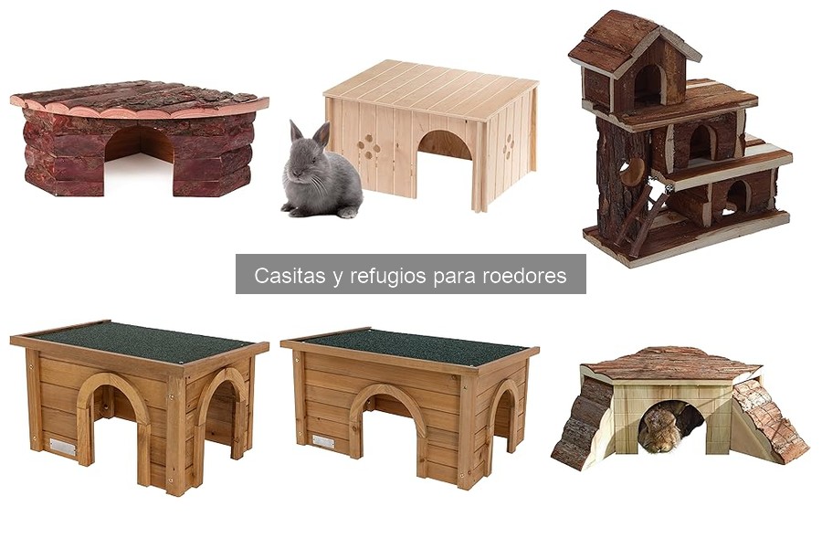 Casitas y refugios para roedores: ¿Qué son y su importancia?