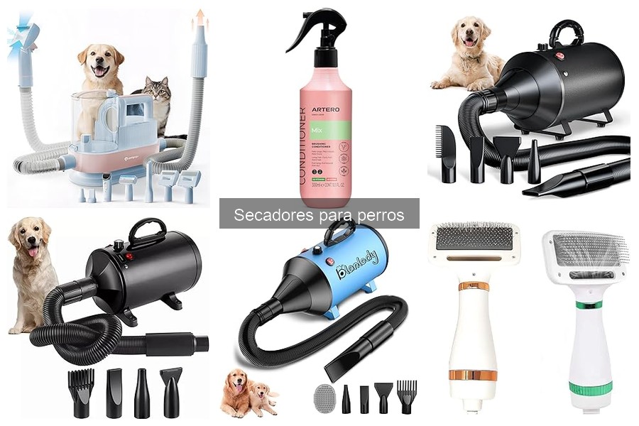 Casos en que evitar el uso de secadores para perros
