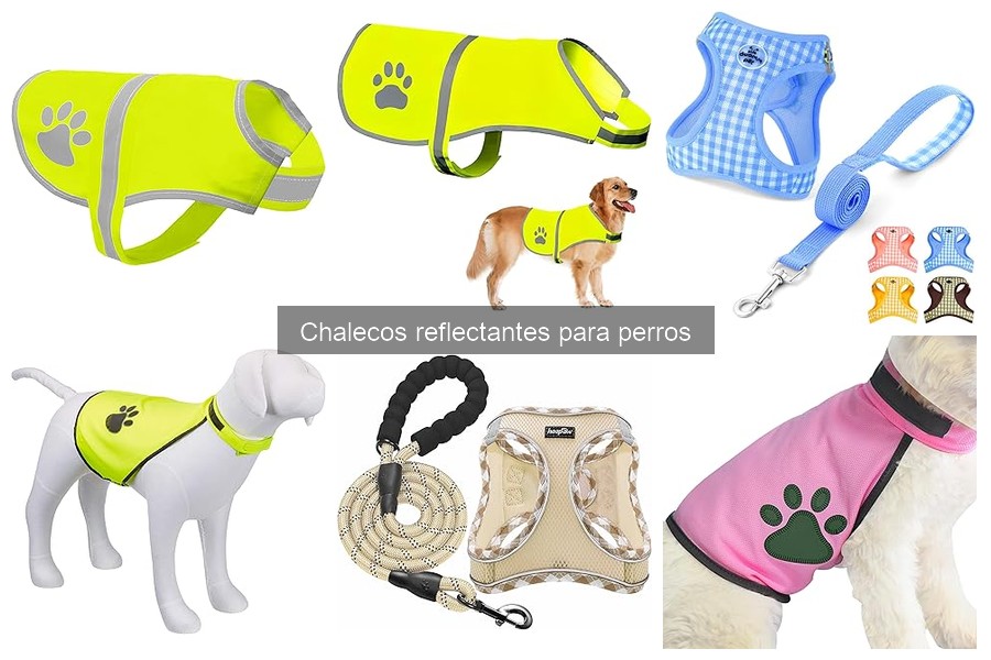 Chalecos Reflectantes para Perros: Qué Son y Sus Beneficios