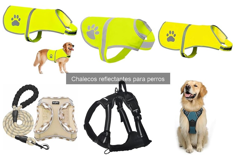 Chalecos Reflectantes para Perros: ¿Son Realmente Seguros?